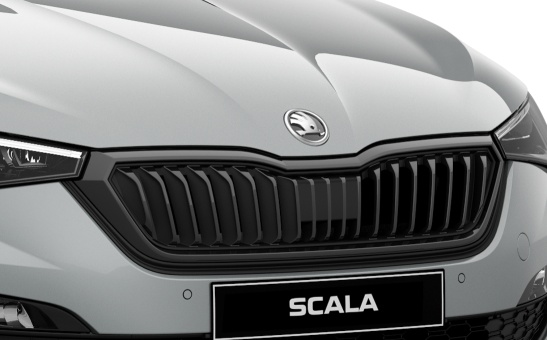 Ozdobna ramka przedniej maskownicy