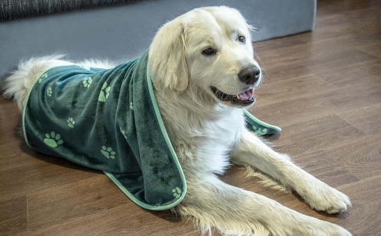 Koc dla zwierząt domowych