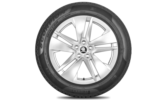 Kompletne koło zimowe Proteus 19" przednie do Enyaq, Elroq