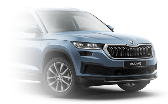 Lakier w sprayu szary Satin metalik