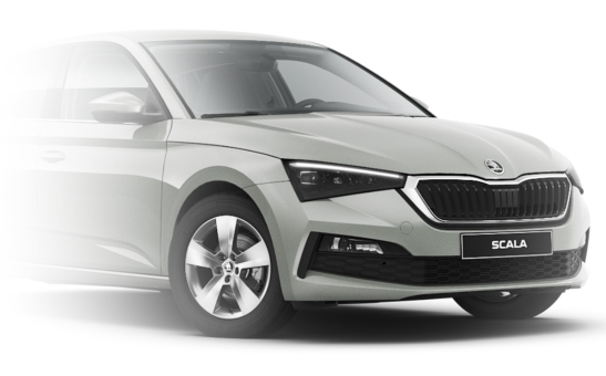 Pisak do rys szary Steel