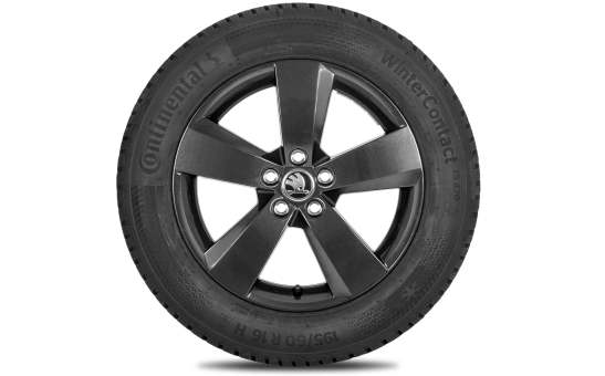 Kompletne koło zimowe Nanuq 16" do Scala, Kamiq