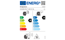 Kompletne koło zimowe Paget aero 17" do Kodiaq II